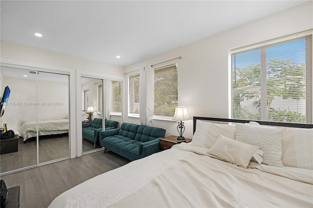 bedroom featuring dark hardwood / wood-style flooring, multiple windows, and two closets