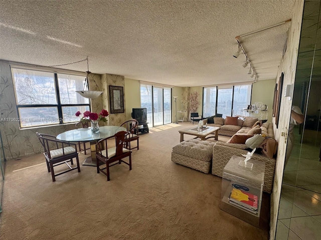 carpeted living room with rail lighting and a textured ceiling