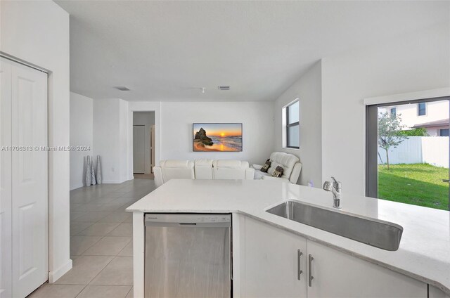 kitchen with white cabinetry, a healthy amount of sunlight, sink, and stainless steel dishwasher