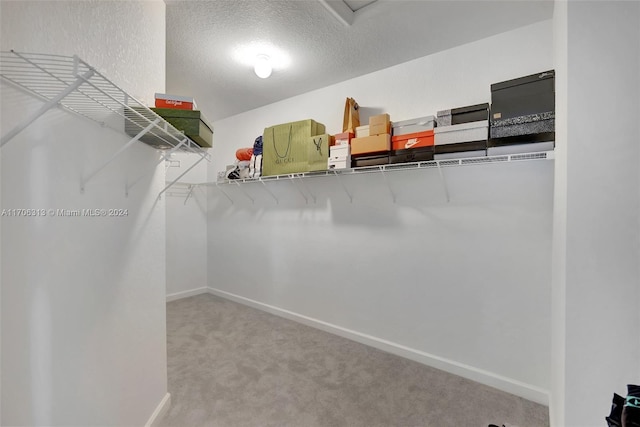 walk in closet featuring carpet