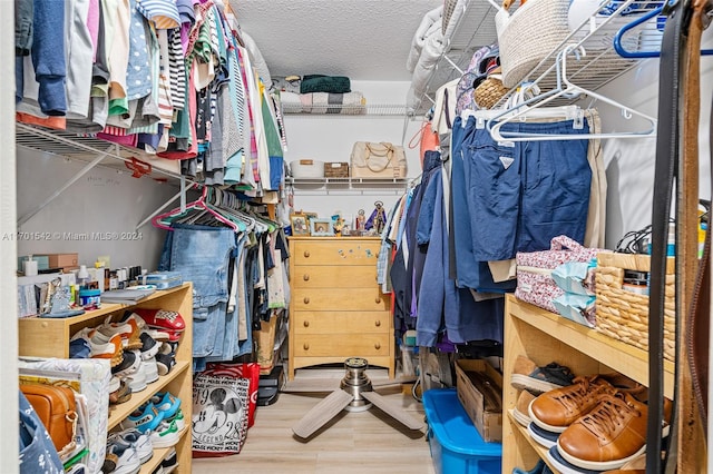 walk in closet featuring wood-type flooring