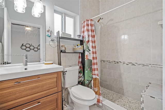 bathroom with vanity, curtained shower, and toilet