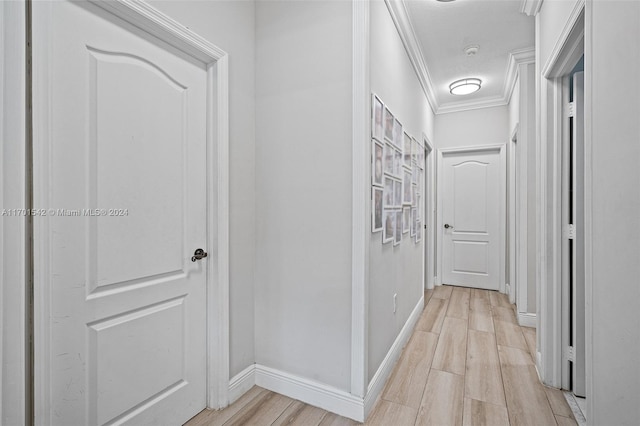 hall featuring light hardwood / wood-style floors and ornamental molding