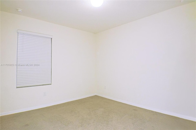 spare room with carpet flooring