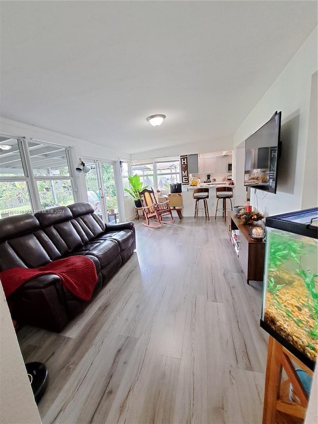 living room with light hardwood / wood-style flooring