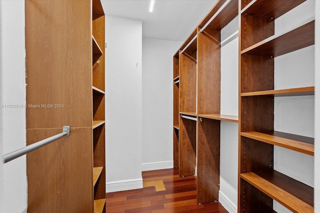 walk in closet featuring dark wood-type flooring