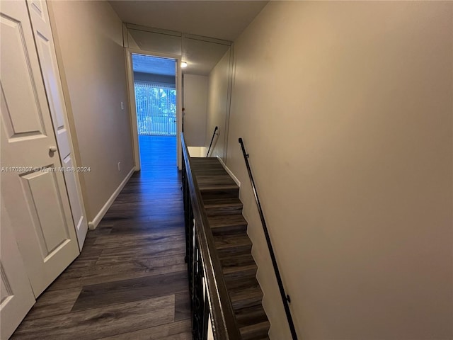 hallway with dark wood-type flooring