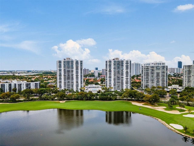 property view of water