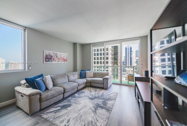 living room featuring wood-type flooring