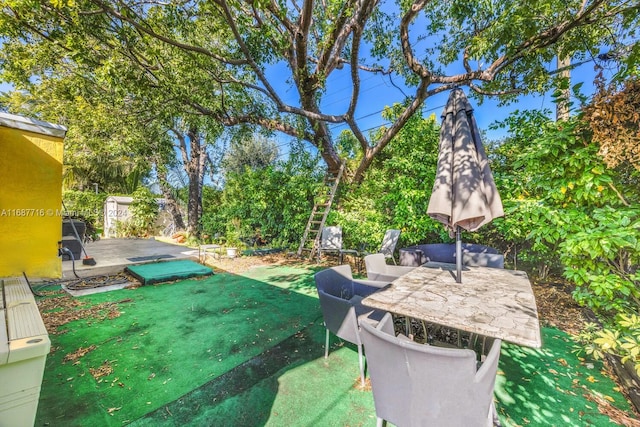 view of yard featuring a patio