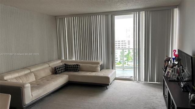 carpeted living room with a textured ceiling