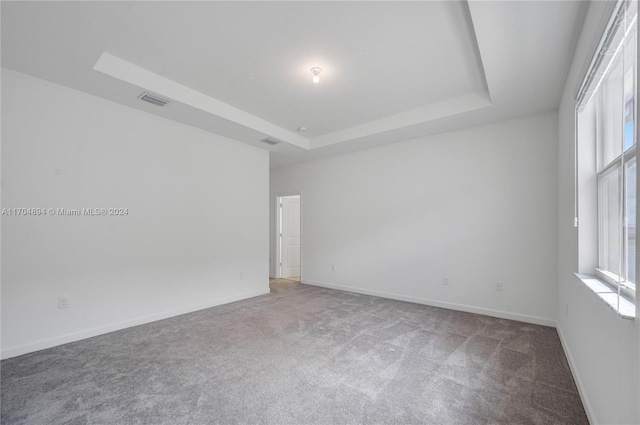 spare room with carpet, a tray ceiling, and a wealth of natural light