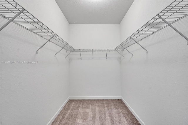 spacious closet featuring carpet flooring