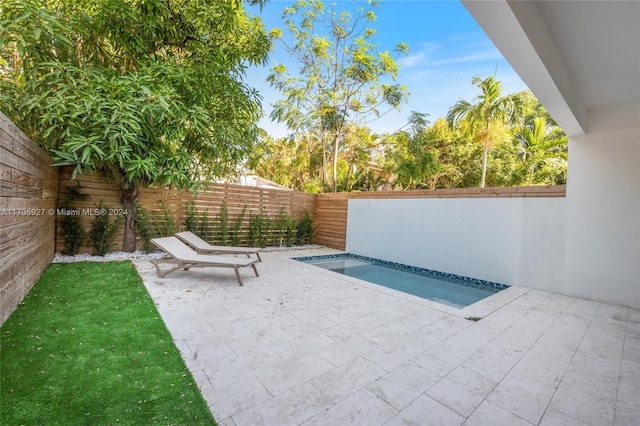 view of pool with a patio area