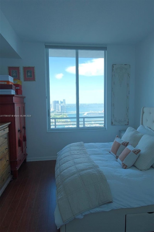 bedroom featuring multiple windows and dark wood-type flooring