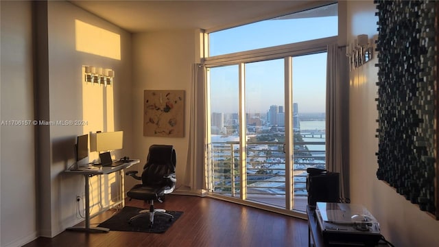 home office with dark hardwood / wood-style flooring and plenty of natural light