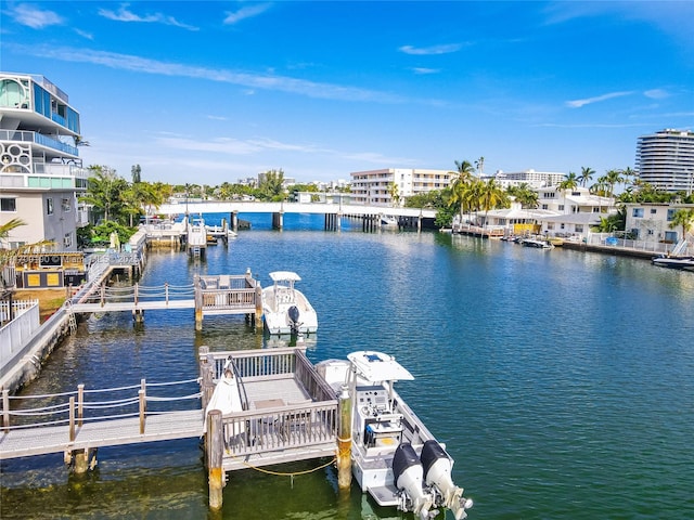 dock area with a water view