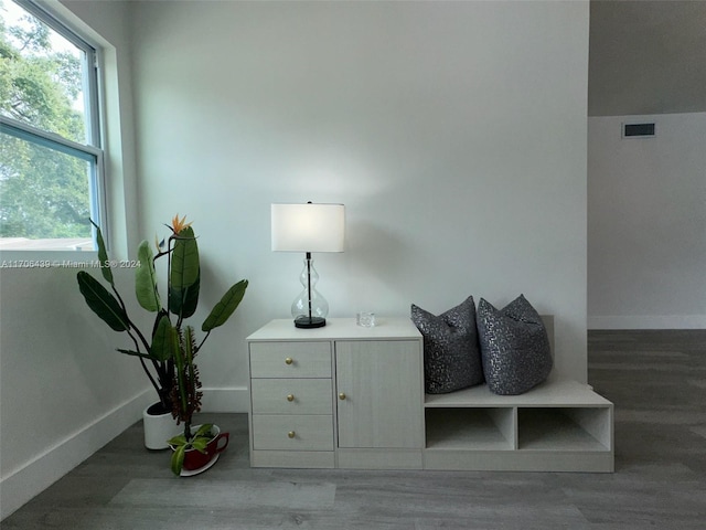 living area with hardwood / wood-style floors