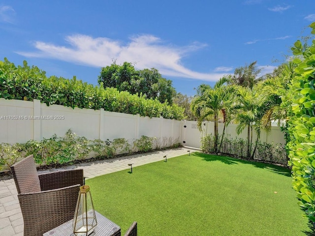 view of yard with a patio area