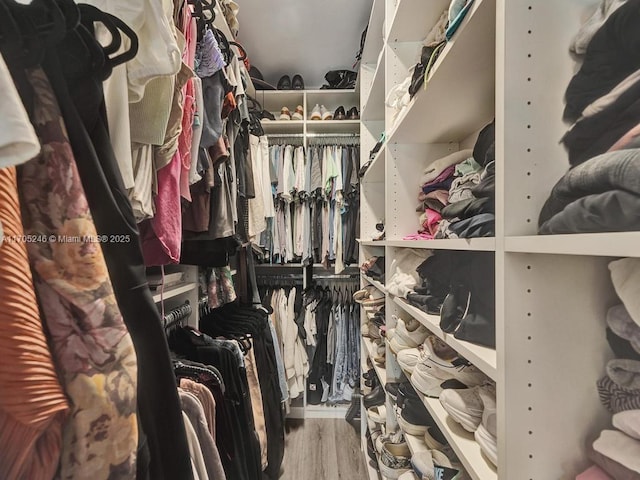 spacious closet with wood-type flooring