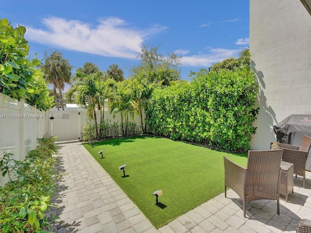 view of yard featuring a patio