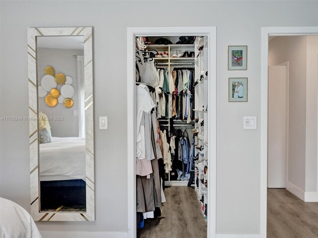 bedroom featuring ceiling fan, light hardwood / wood-style floors, a walk in closet, and a closet