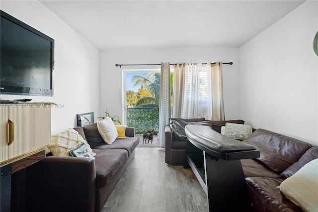 living room featuring wood-type flooring and a textured ceiling