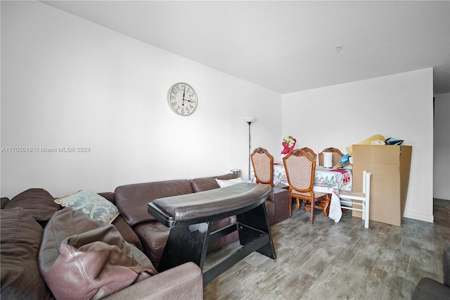 living room featuring hardwood / wood-style floors