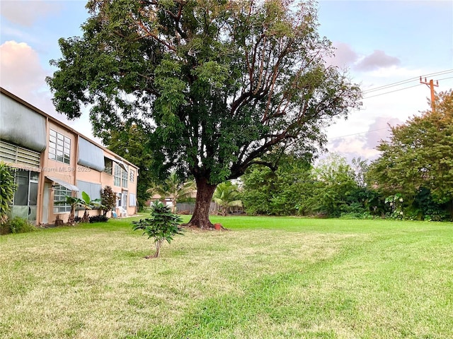 20275 NE 2nd Ave Unit 16, Miami, FL 33179 - view of green lawn