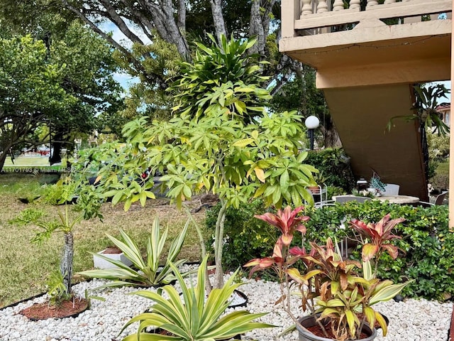 20275 NE 2nd Ave Unit 16, Miami, FL 33179 - view of yard with a balcony