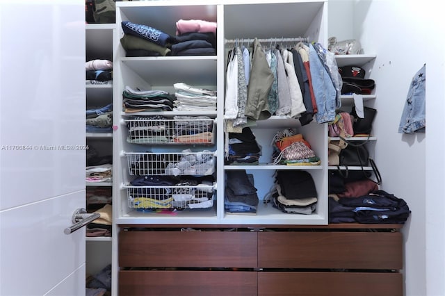 view of walk in closet