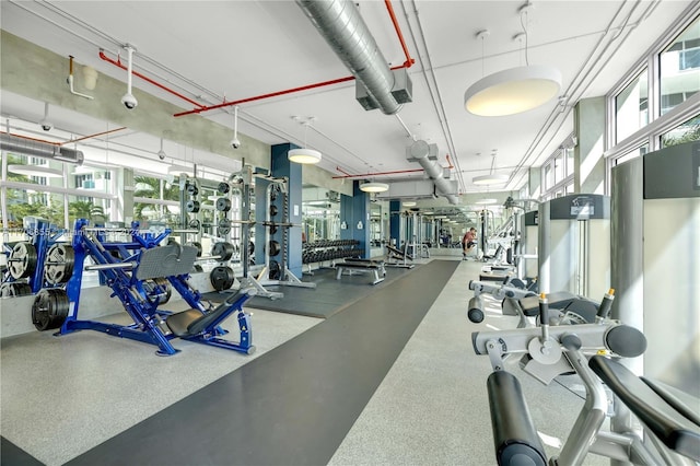 exercise room with a healthy amount of sunlight