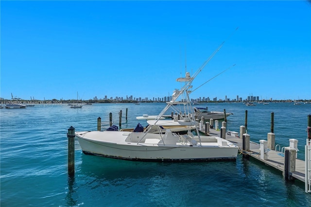 dock area featuring a water view