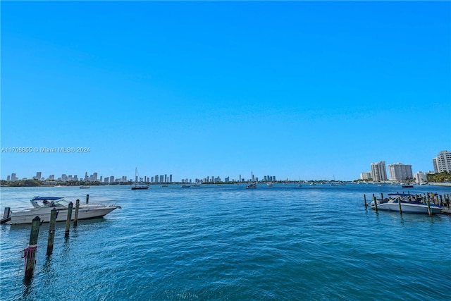 dock area featuring a water view