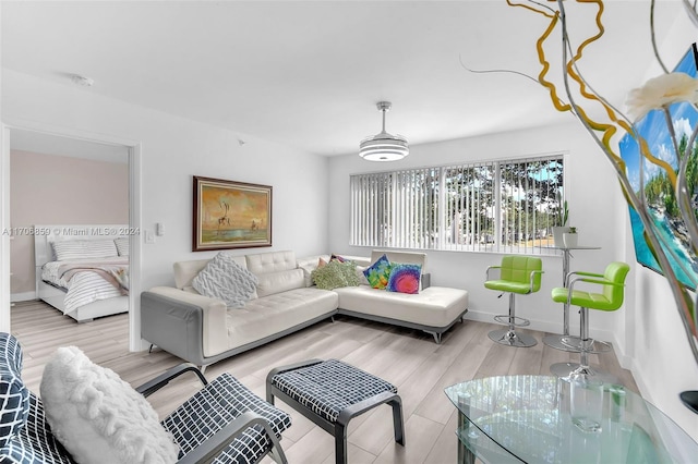 living room featuring light hardwood / wood-style flooring