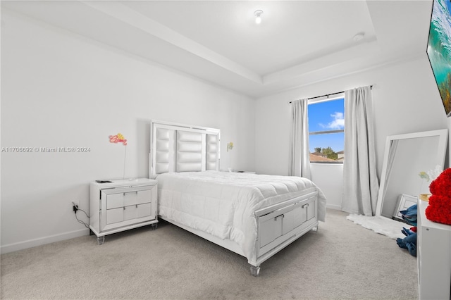 bedroom featuring light colored carpet and a raised ceiling