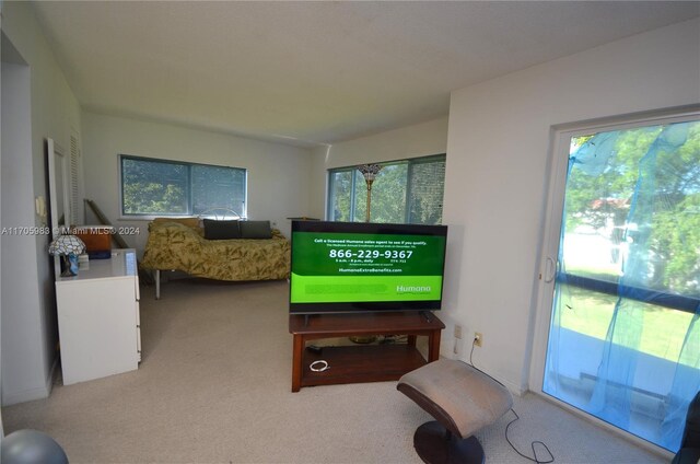 playroom featuring carpet floors and a wealth of natural light