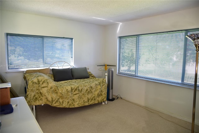 carpeted bedroom featuring a textured ceiling and multiple windows