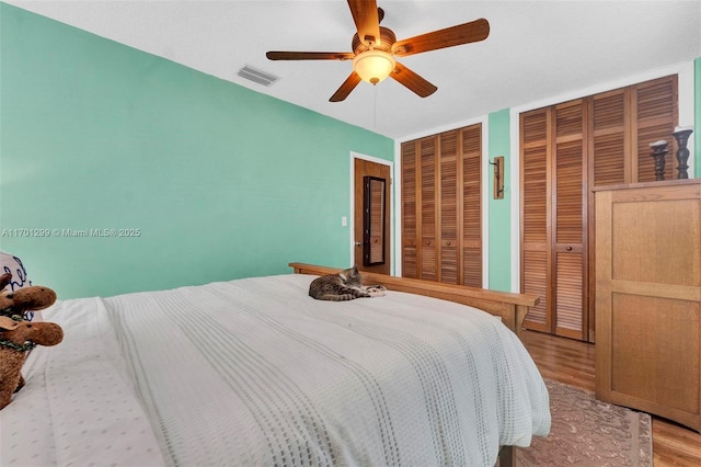 bedroom featuring hardwood / wood-style floors, ceiling fan, and two closets