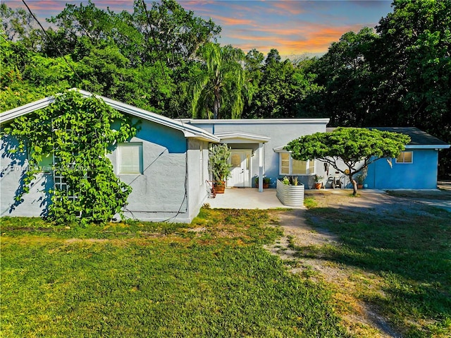 back house at dusk with a yard