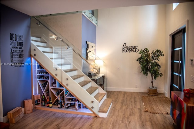 wine area with hardwood / wood-style floors