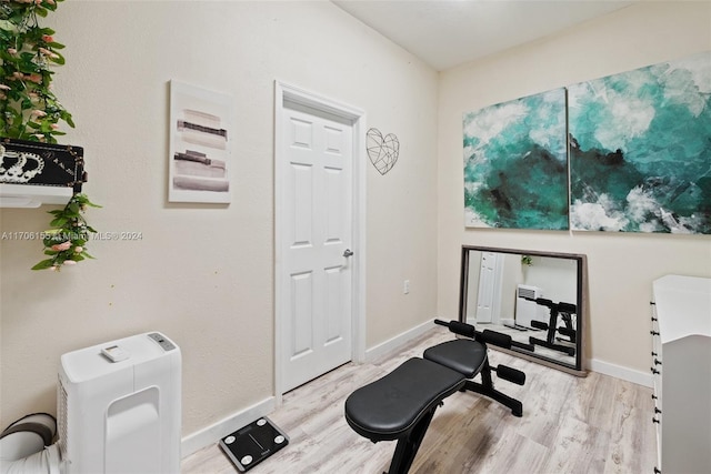 workout room with light hardwood / wood-style flooring