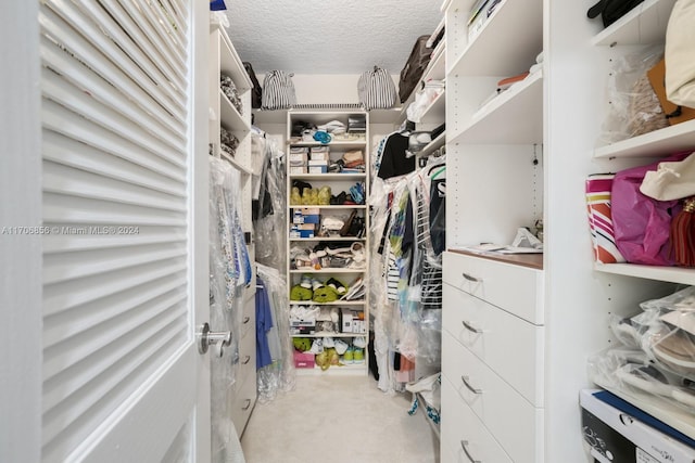 walk in closet featuring carpet