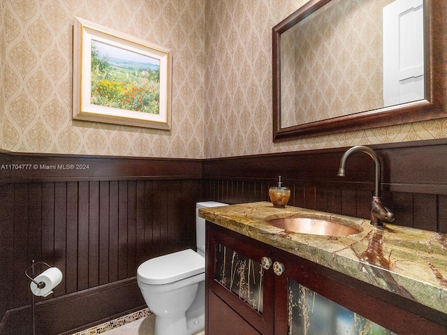 bathroom with wood walls, vanity, and toilet