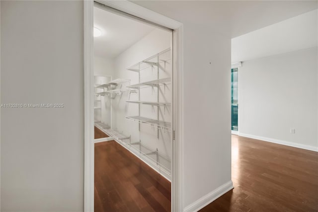 corridor featuring dark hardwood / wood-style floors