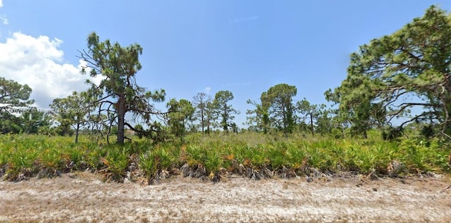 11 Betty Ct, Port Charlotte FL, 33946 land for sale