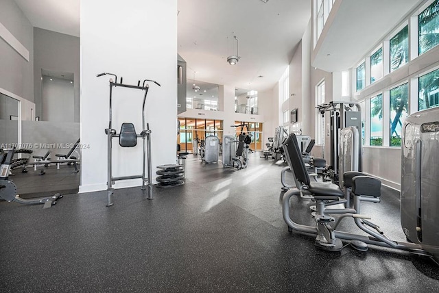 exercise room featuring a towering ceiling