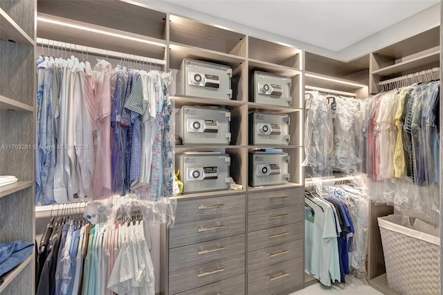 view of spacious closet