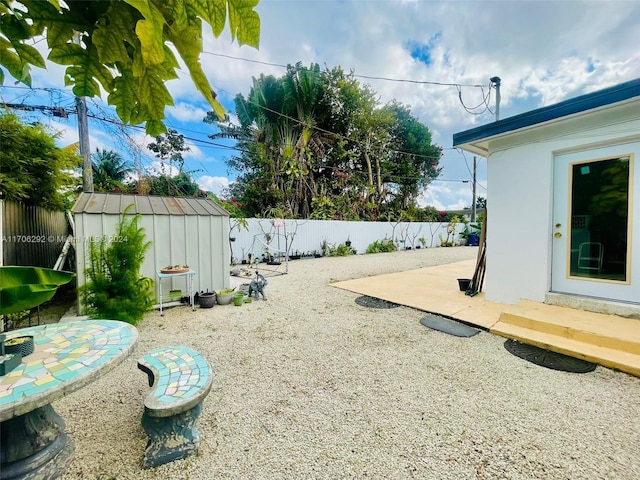 view of yard with a patio and a storage shed