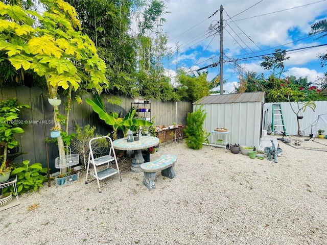 view of yard featuring a storage unit